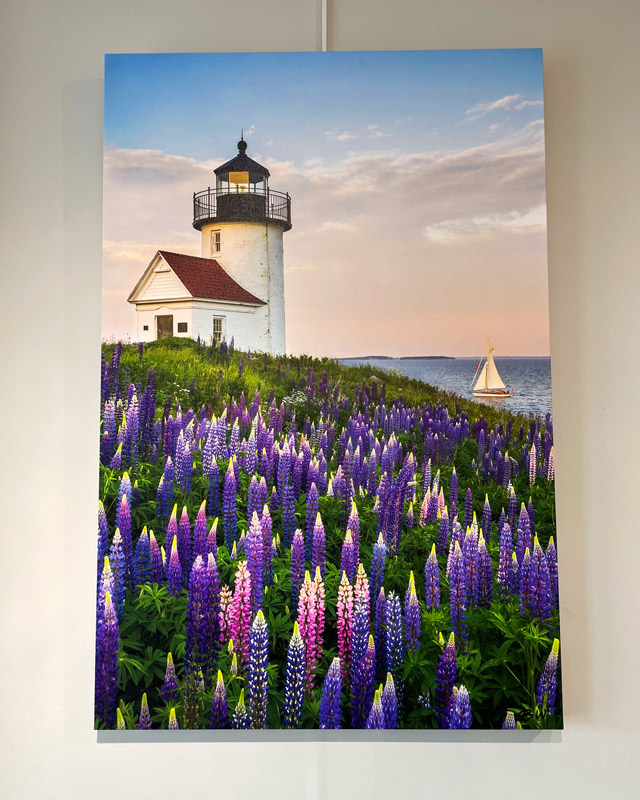 Canvas of Lighthouse and Lupines and Sailboat by Benjamin Williamson