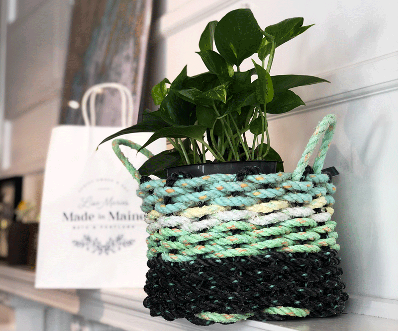 National Houseplants Day at Lisa-Marie's Made in Maine