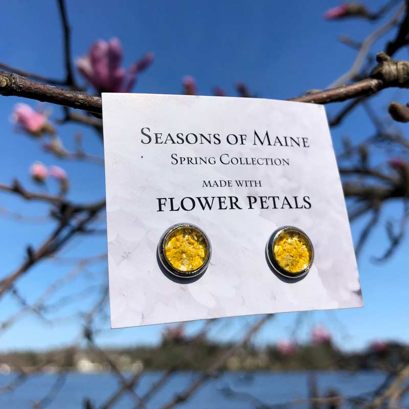 Yellow, Rose, Flower Petal Earrings, hanging in a tree by the ocean.