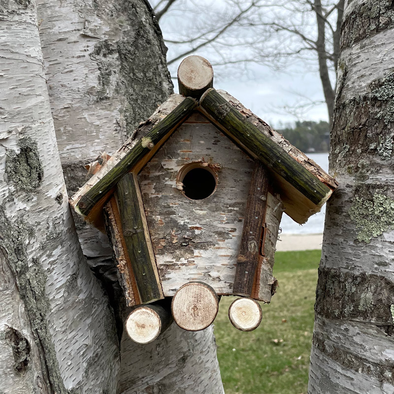 Birch Tree Birdhouse