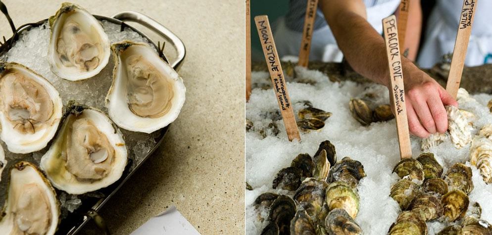 The Oystah of ME Eye: Where to Find Local Maine Oysters