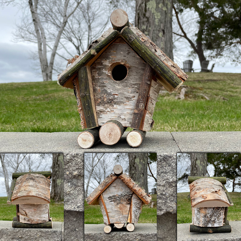 Birch Tree Birdhouse