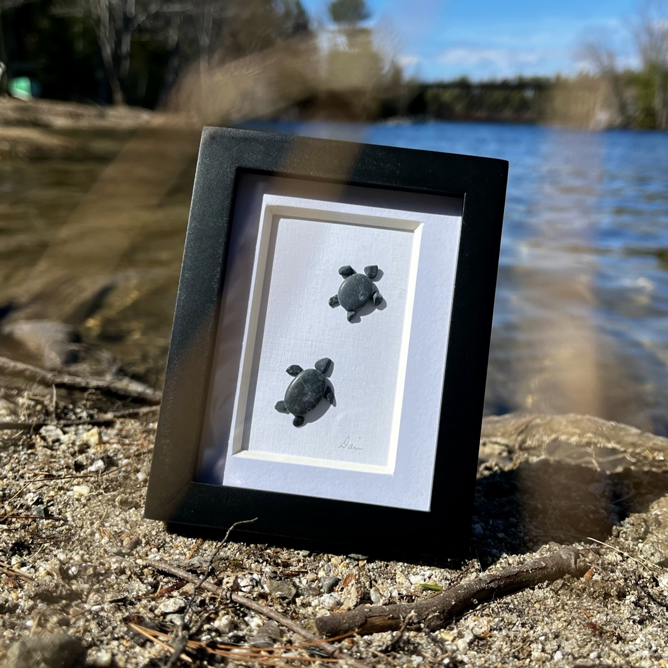Framed Rock Art: Swimming Turtles by YWR