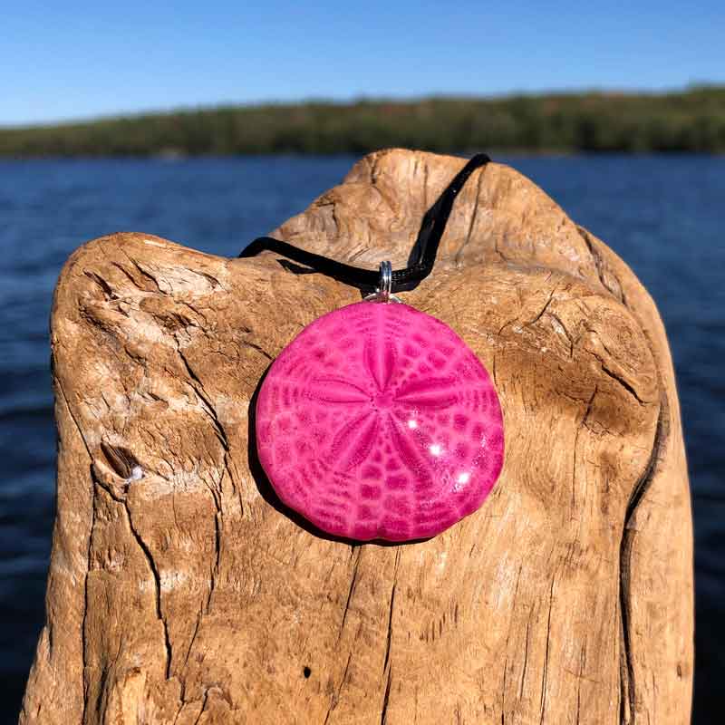 Hot Pink Sand Dollar Necklace