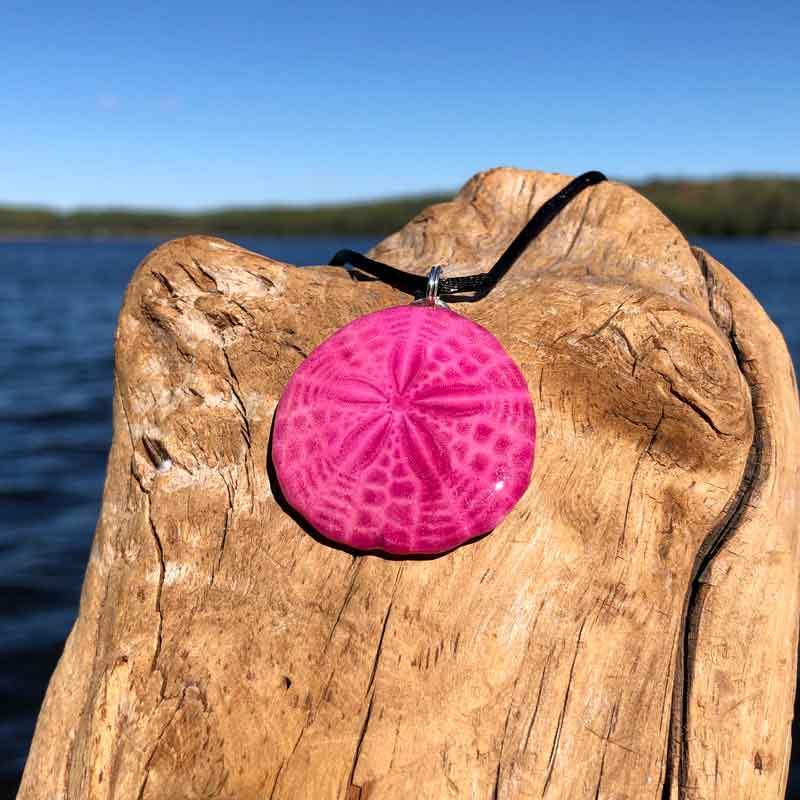 Hot Pink Sand Dollar Necklace