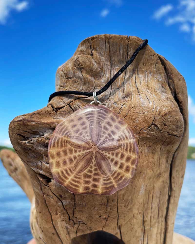 Sepia Sand Dollar Necklace