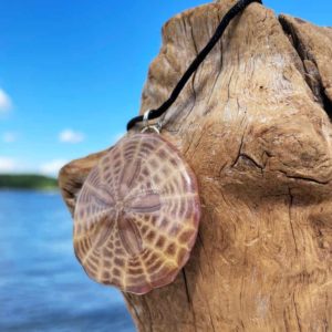 Sepia Sand Dollar Necklace