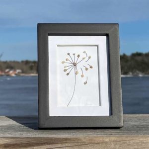 Dandelion in the Wind - Framed Beach Findings