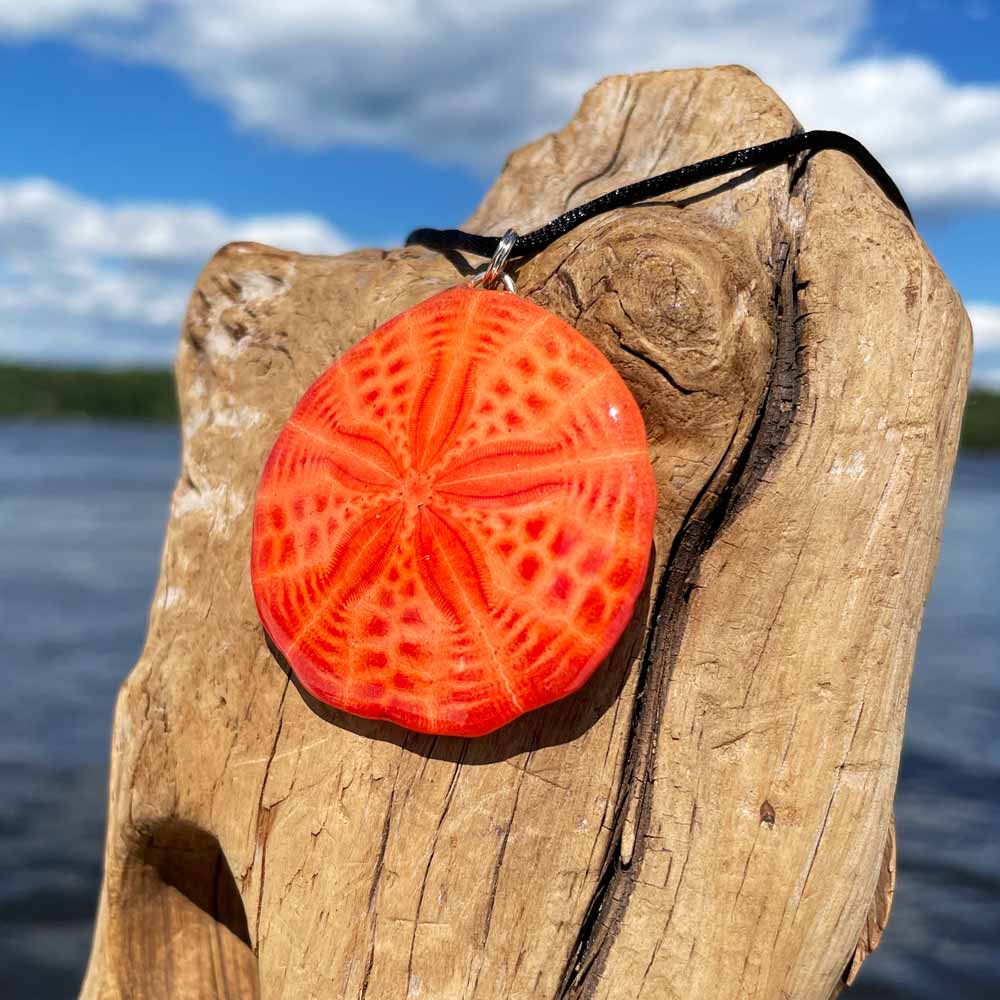 Coral Sand Dollar Necklace