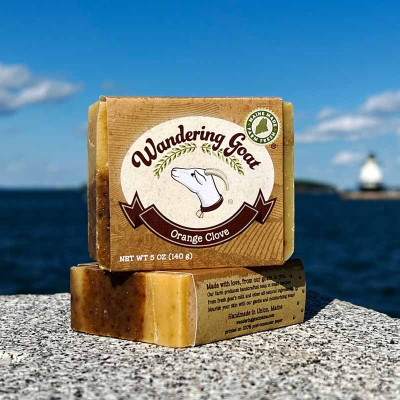 Orange Clove Goat's Milk Soap - Lisa-Marie's Made in Maine