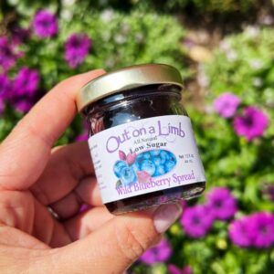 Wild Maine Blueberry Spread by Out on a Limb 1.5oz