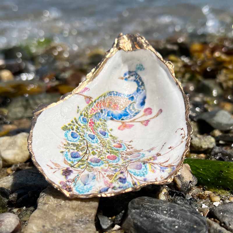 Peacock Oyster Shell Ring Dish