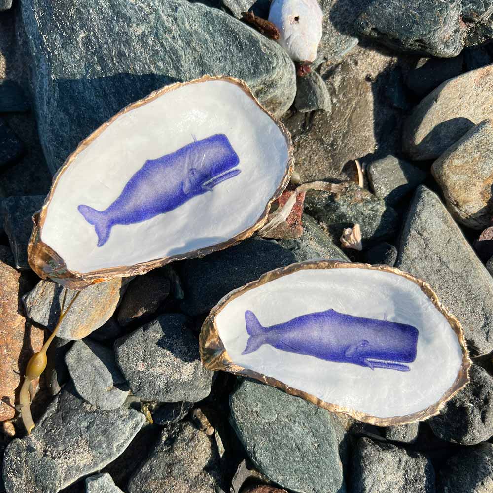 Whale Oyster Shell Ring Dish