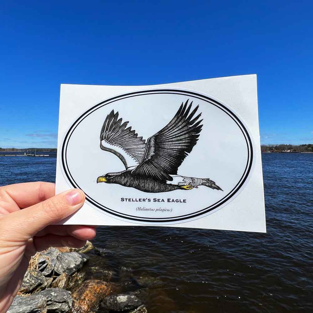 Stellar Sea Eagle sticker by Isabella Ciolfi