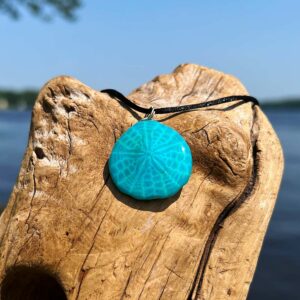 Turquoise Sand Dollar Necklace