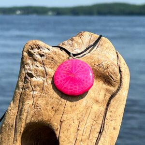Pink Sand Dollar Necklace
