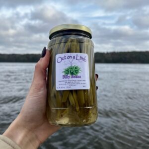 Dilly Beans from Out on a Limb - 2023 Maine Favorites Gift Package