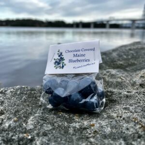 Wilburs 2oz Bag of Chocolate Covered Blueberries