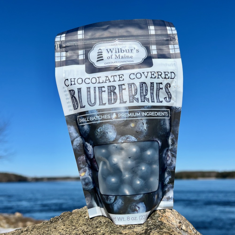 Wilburs 8oz Bag of Chocolate Covered Blueberries