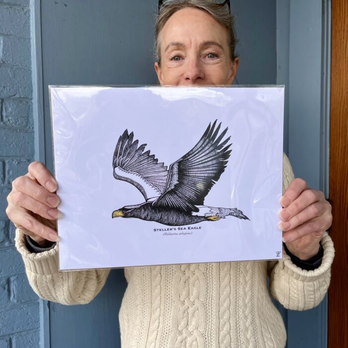 Steller's Sea Eagle Print